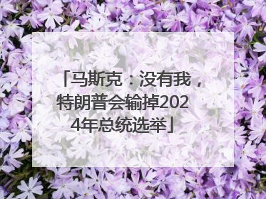 马斯克：没有我，特朗普会输掉2024年总统选举