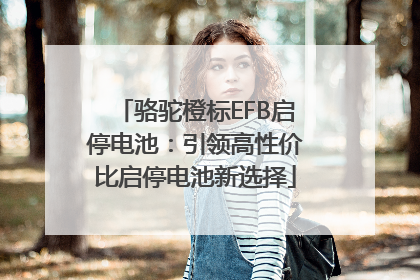 骆驼橙标EFB启停电池：引领高性价比启停电池新选择