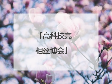 高科技亮相丝博会