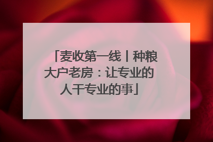 麦收第一线丨种粮大户老房：让专业的人干专业的事