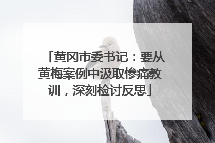 黄冈市委书记：要从黄梅案例中汲取惨痛教训，深刻检讨反思