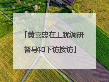 黄喜忠在上犹调研督导和下访接访