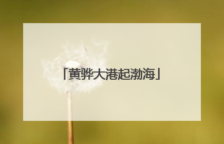 黄骅大港起渤海