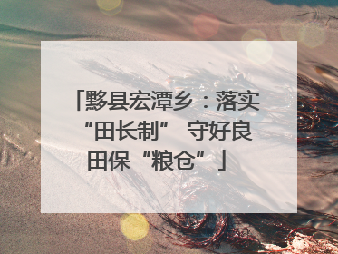 黟县宏潭乡：落实“田长制” 守好良田保“粮仓”