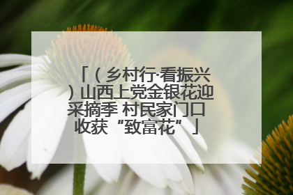 （乡村行·看振兴）山西上党金银花迎采摘季 村民家门口收获“致富花”