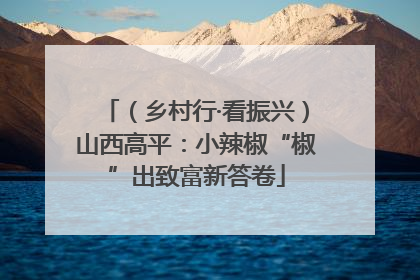 （乡村行·看振兴）山西高平：小辣椒“椒”出致富新答卷