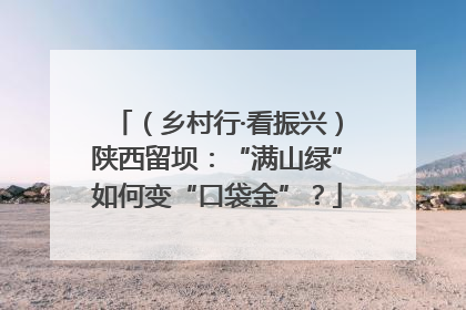 （乡村行·看振兴）陕西留坝：“满山绿”如何变“口袋金”？