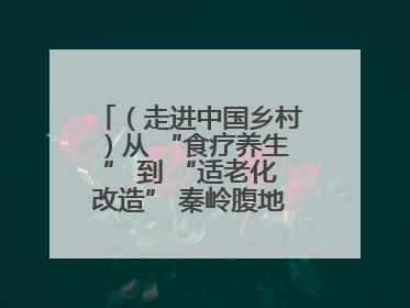 （走进中国乡村）从 “食疗养生” 到 “适老化改造” 秦岭腹地成康养“福地”
