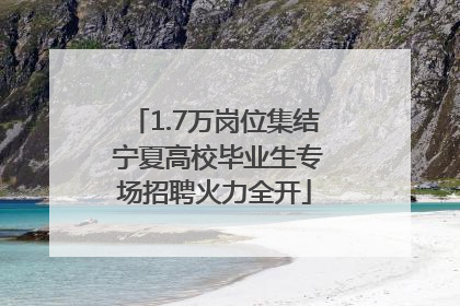 1.7万岗位集结 宁夏高校毕业生专场招聘火力全开