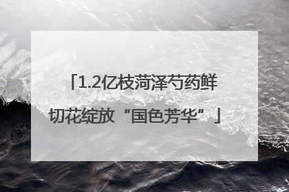 1.2亿枝菏泽芍药鲜切花绽放“国色芳华”