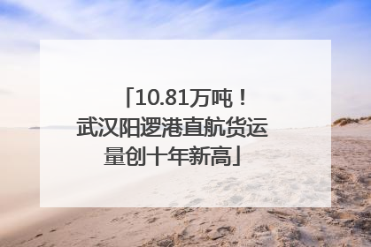 10.81万吨！武汉阳逻港直航货运量创十年新高