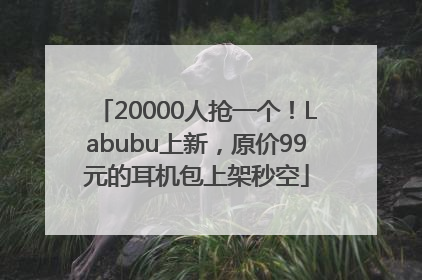 20000人抢一个！Labubu上新，原价99元的耳机包上架秒空