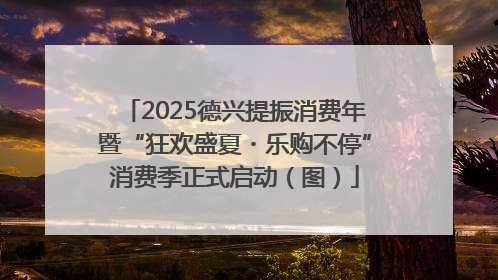 2025德兴提振消费年暨“狂欢盛夏・乐购不停”消费季正式启动（图）