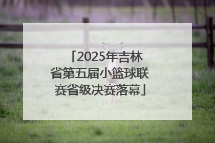 2025年吉林省第五届小篮球联赛省级决赛落幕