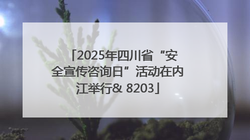 2025年四川省“安全宣传咨询日”活动在内江举行& 8203