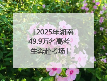 2025年湖南49.9万名高考生奔赴考场