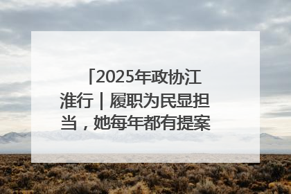 2025年政协江淮行｜履职为民显担当，她每年都有提案被评为“优秀”