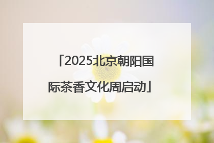 2025北京朝阳国际茶香文化周启动