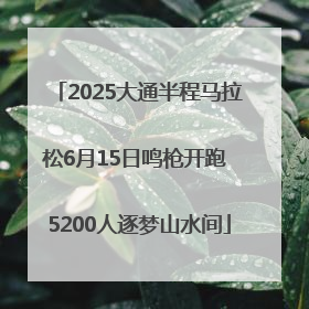 2025大通半程马拉松6月15日鸣枪开跑 5200人逐梦山水间