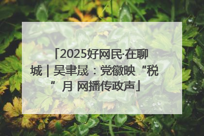 2025好网民·在聊城｜吴聿晟：党徽映“税”月 网播传政声
