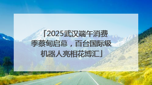 2025武汉端午消费季蔡甸启幕，百台国际级机器人亮相花博汇