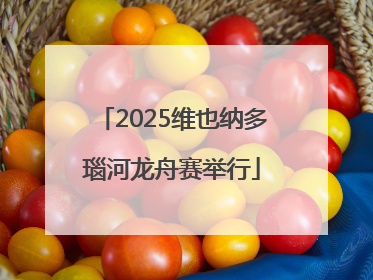 2025维也纳多瑙河龙舟赛举行