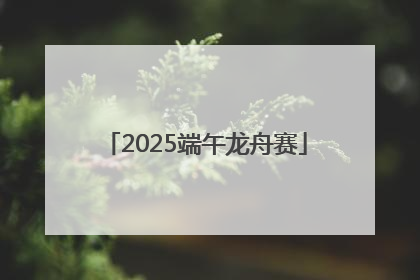 2025端午龙舟赛