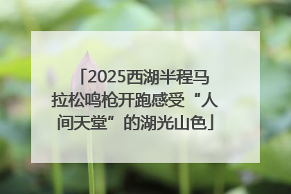 2025西湖半程马拉松鸣枪开跑感受“人间天堂”的湖光山色