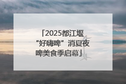 2025都江堰“好嗨啤”消夏夜啤美食季启幕