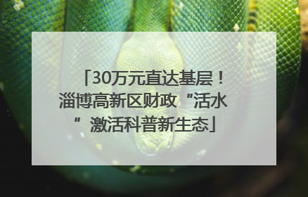 30万元直达基层！淄博高新区财政“活水”激活科普新生态