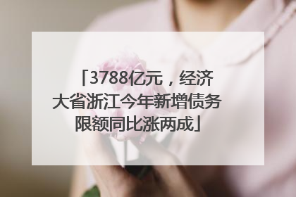 3788亿元，经济大省浙江今年新增债务限额同比涨两成