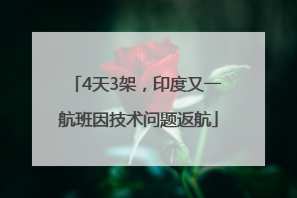 4天3架，印度又一航班因技术问题返航
