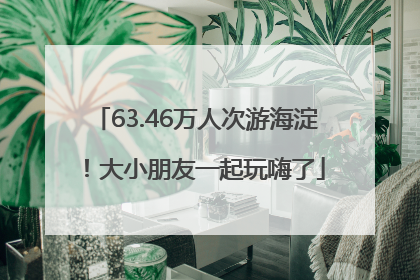 63.46万人次游海淀！大小朋友一起玩嗨了