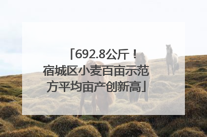 692.8公斤！宿城区小麦百亩示范方平均亩产创新高