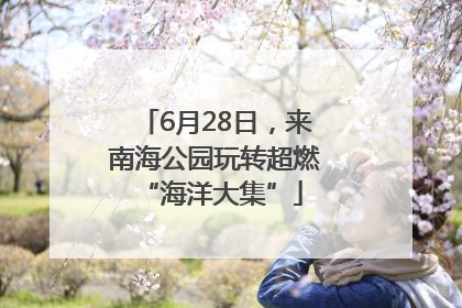 6月28日，来南海公园玩转超燃 “海洋大集”
