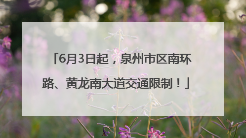 6月3日起，泉州市区南环路、黄龙南大道交通限制！