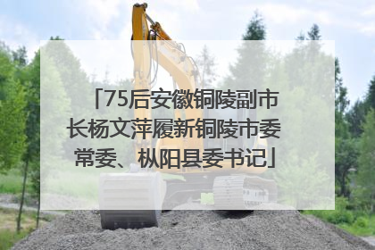 75后安徽铜陵副市长杨文萍履新铜陵市委常委、枞阳县委书记