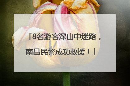 8名游客深山中迷路，南昌民警成功救援！