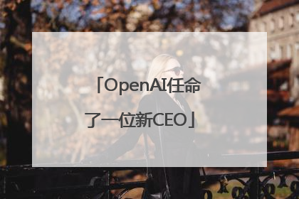 OpenAI任命了一位新CEO